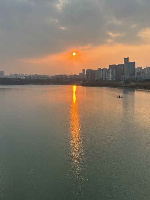 沱江金辉