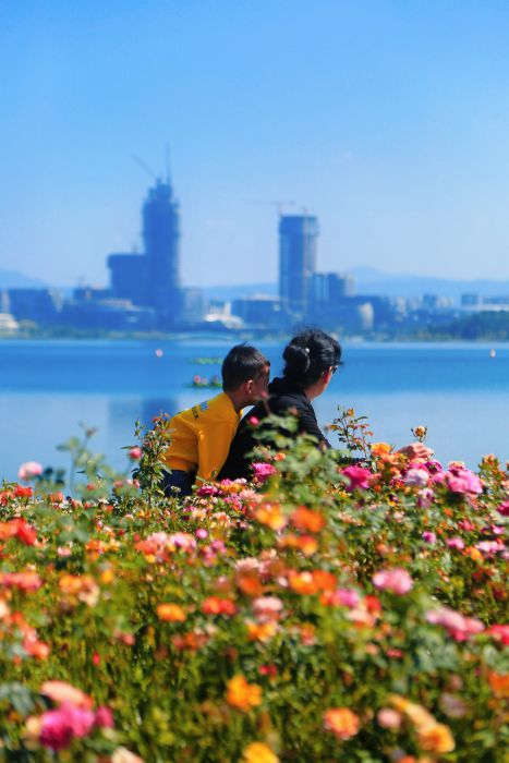 花与海