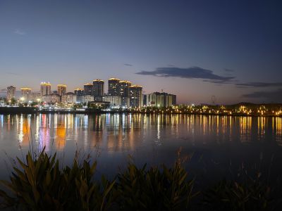夜影东湖