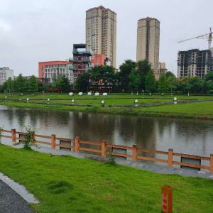 雨中河
