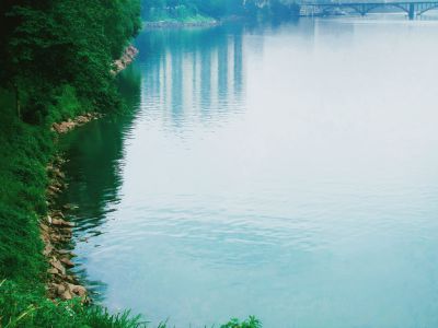 河堤绿化