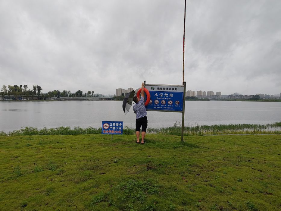 雨中