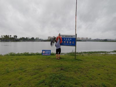 雨中