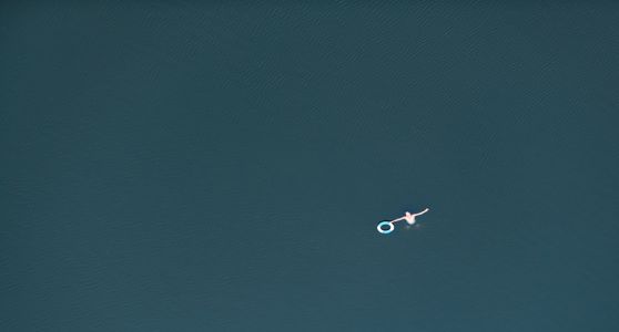 河中睡觉