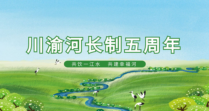 800kuan.png